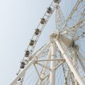 Navigating the Emotional Rollercoaster: Coping Skills for Entrepreneurial Highs and Lows