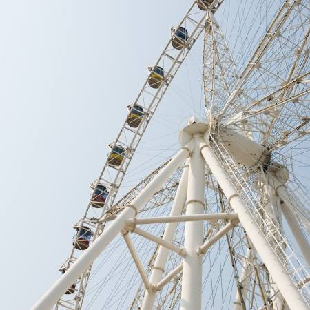 Navigating the Emotional Rollercoaster: Coping Skills for Entrepreneurial Highs and Lows